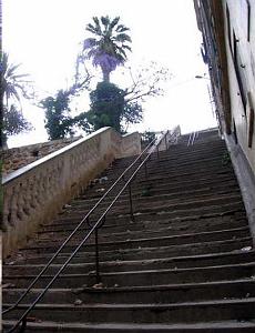 2024 02 09  ORAN - RUE DEGUGIS (5)